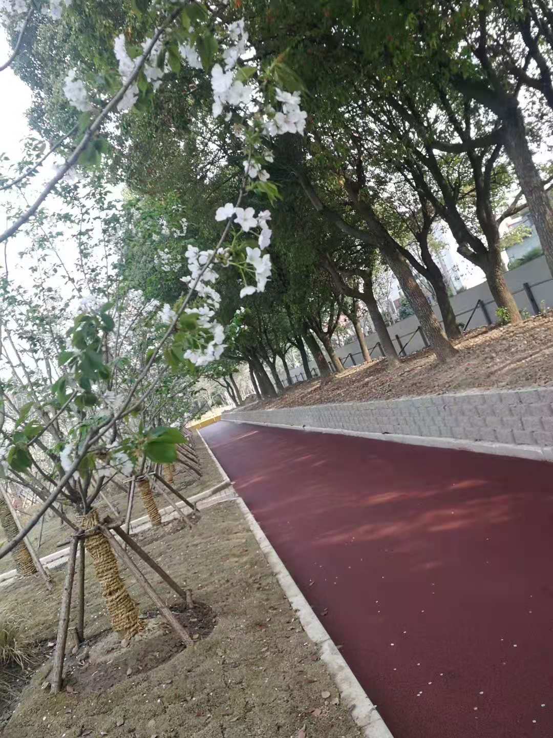 小區綠化建設設計效果